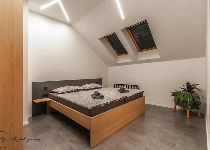 Cozy Little Apartments